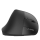 JLAB JBuds Ergonomic JBUDS ERGONIMIC - 1223224 - zdjęcie 4